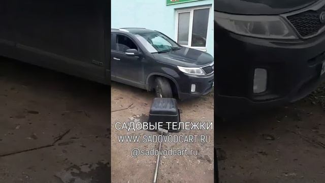 Испытание тележки SADOVODCART #сад #дача #garden #youtube #дом #shorts #sadovodcart #садовод #beaut смотреть онлайн