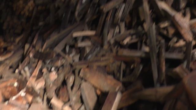 Появились коты и мыши исчезли. смотреть онлайн