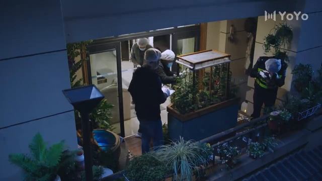 【FULL】破茧 06 | Insect Detective 06（张耀、楚月、马可）