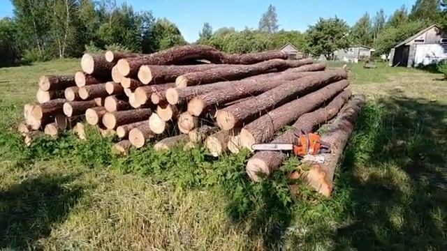 Дрова привезли, даже жалко пилить! смотреть онлайн