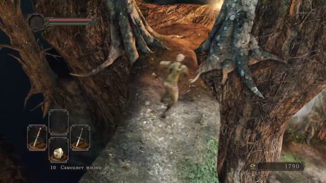 dark souls 2 scholar of the first sin КООП смотреть онлайн