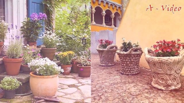Варианты обустройства садовых участков / Options for landscaping the garden plot смотреть онлайн
