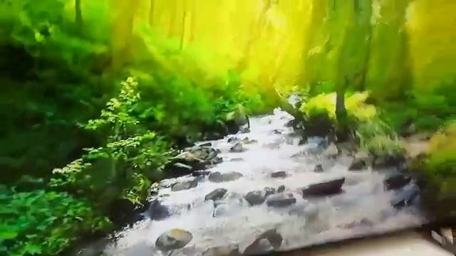 Видео №565122 смотреть онлайн