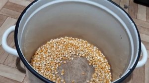 Смертельная ЛОВУШКА ДЛЯ КРЫС Best Mouse Trap Ever, How To Make Bucket Rat Trap