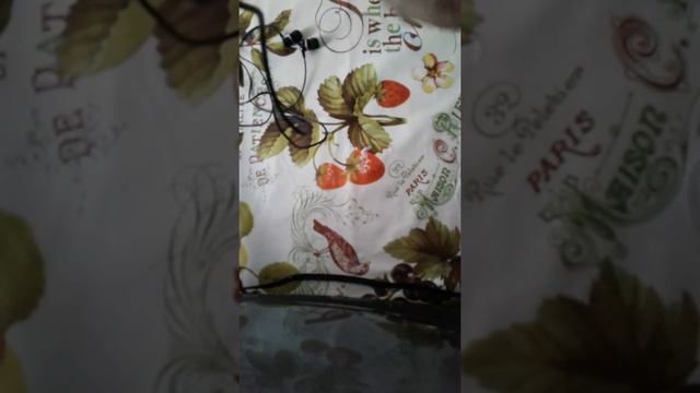 Слайм из двух ингридиентов.Слайм из лёгкого пластилина.Слайм без пены для бритья.(Он получился) смотреть онлайн