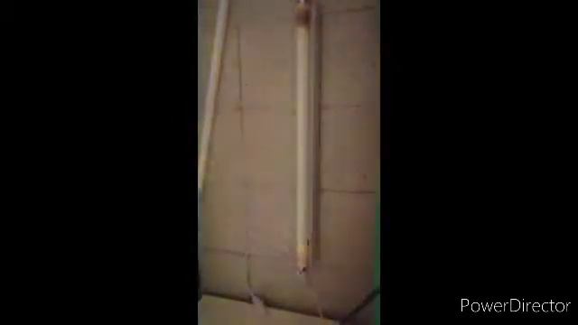 Eol Fluorescent Tube