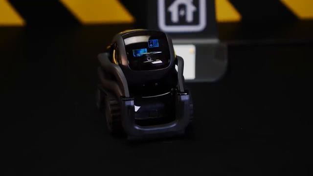 ЧТО ЕСЛИ РОБОТ ANKI VECTOR УВИДИТ ЖИВУЮ ЖАБУ? ИСКУССТВЕННЫЙ ИНТЕЛЛЕКТ VS ЖАБА