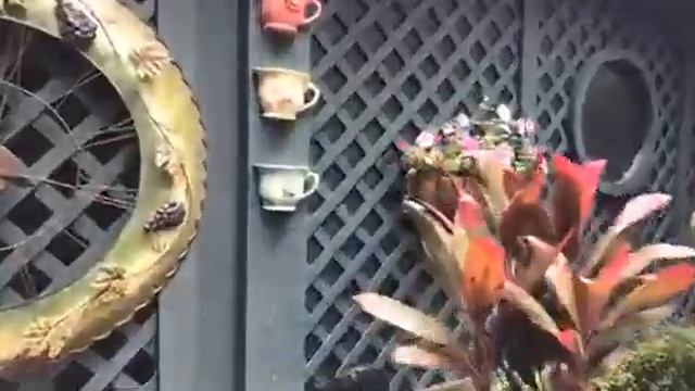 SavannahNow Live: Checking out one of the hidden gardens prior to The Garden Club of Savannah's tou смотреть онлайн