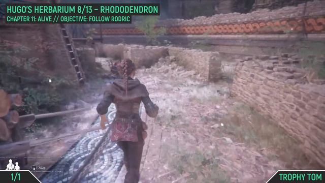 A Plague Tale: Innocence - All Collectibles and Trophies 🏆 - Chapter 11 (Alive) смотреть онлайн