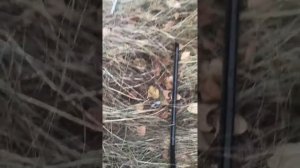 Как открыть Ниву в поле