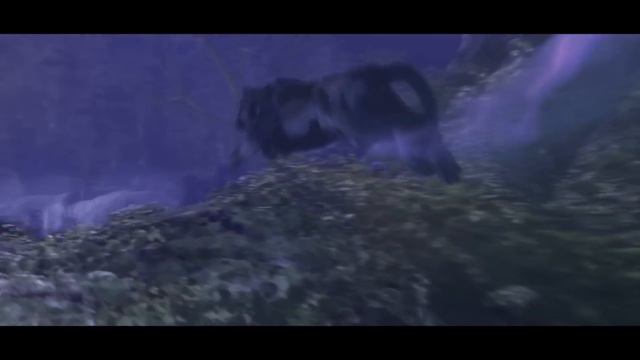 Cinématique d’introduction de World of Warcraft (FR) смотреть онлайн