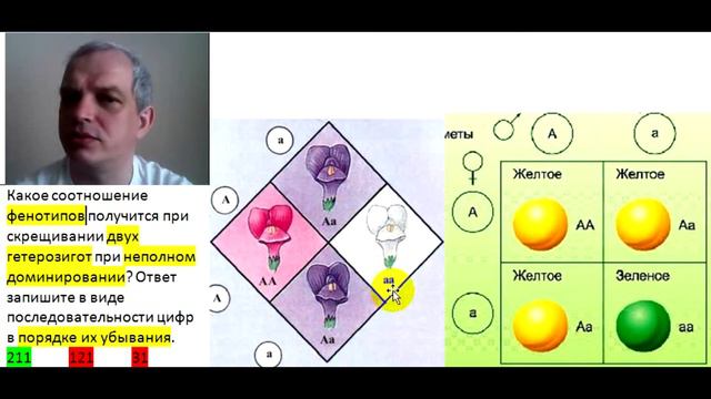 Видео-объяснение для Биоробота смотреть онлайн