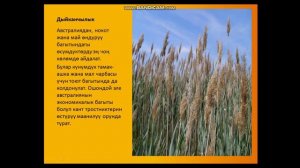 География 11 класс  Австралия