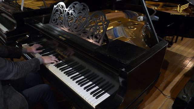 Bluthner Aliquot Grand Piano - Demonstrated by Sherwood Phoenix смотреть онлайн