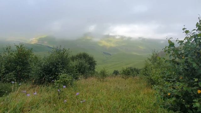 Утренние бриллианты. Проведала берёзовые леса. Старая метеобашня)) смотреть онлайн