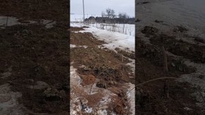 Ускорение таяния снега на участке