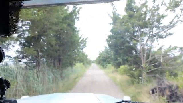 Stephen Sharer! Undercover Police Chase Us!! What’s in the Mystery Safe смотреть онлайн
