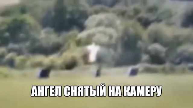 в камеру попал ангел