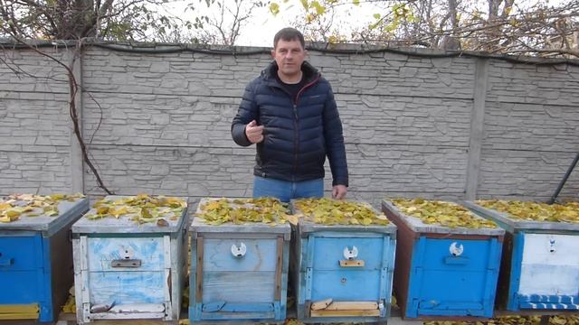 Сколько денег можно заработать на пасеке смотреть онлайн