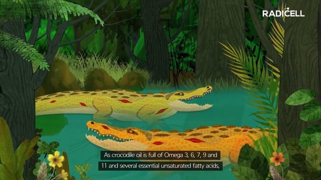 Premium Skin Care Product Using Crocodile's Oil смотреть онлайн