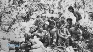 Тополя, тополя все в пуху. Лучшая дворовая песня!