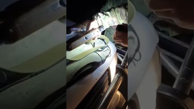 Браконьеры в Каратальском районе ? Что все голодные ? ? смотреть онлайн