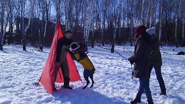 Руна . обучение удержанию фигуранта.(1,02,18) смотреть онлайн