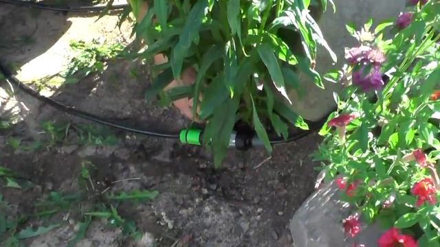 Установка и тестирование автоматического полива «Керхер» смотреть онлайн