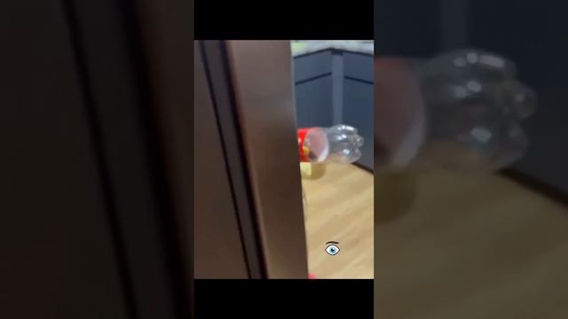Это самые невозможные Фейлы попавшие на видеокамеру!) смотреть онлайн