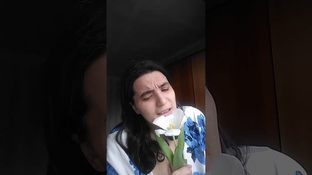 На белом белом покрывале января (Олег Хромов) смотреть онлайн