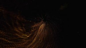 Ритм,ритм,ритм.Музыка для отработки трясок и ударов