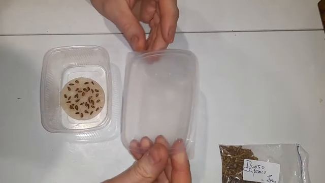 Йога и Медитация