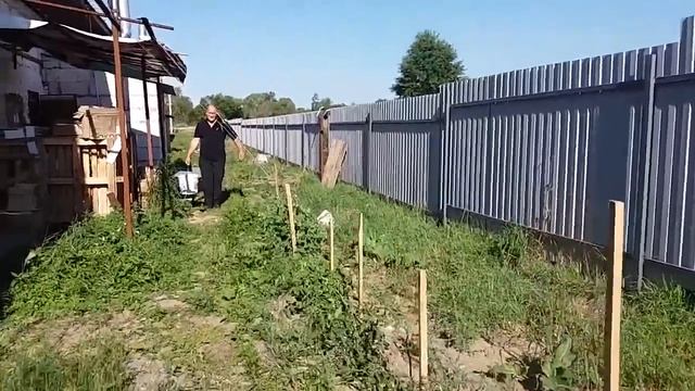 Ремонт у мамы. Помидоры на работе и ещё...