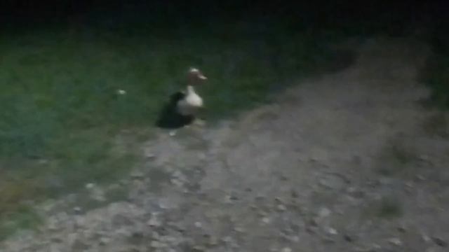 КАК СТАТЬ DEAD INSIDE / ГУЛЕМ / Как стать мертвым внутри смотреть онлайн