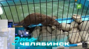 Это Челябинск: городской зоопарк. Часть 1