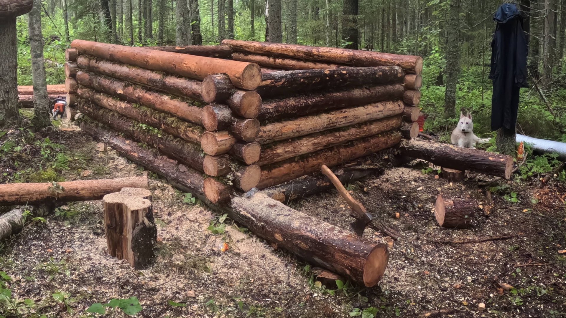 Строительство промысловой избы! смотреть онлайн