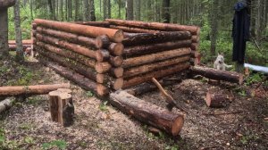 Строительство промысловой избы!