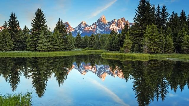 Строительные Мнения