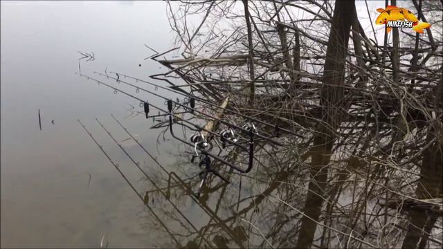 Vlog Pescare Carpfishing Lanca Del PO [ITA]