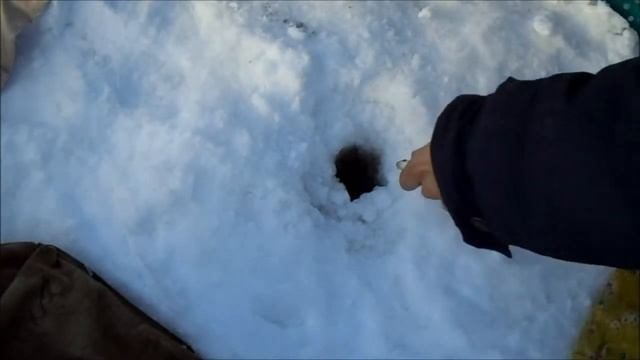 Как ловить плотву в феврале! Ловля плотвы на мормышку, рыбалка в глухозимье смотреть онлайн