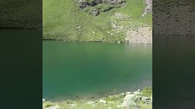 Оз. Мзы смотреть онлайн