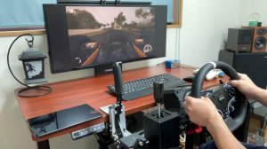 MOZA R5 FM7は手動設定で対応した！ Forza Motorsport 7