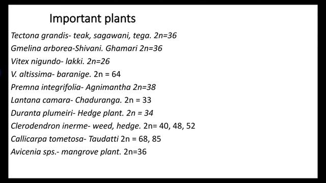 Verbenaceae/teak family смотреть онлайн