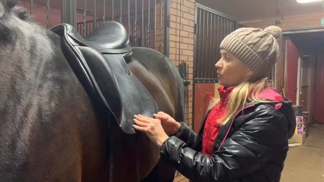 КАК ПОДОБРАТЬ СЕДЛО ДЛЯ ЛОШАДИ смотреть онлайн