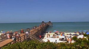 Почему нельзя хранить ракушки в доме: народные приметы о влиянии сувенира