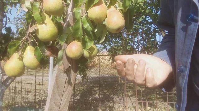 ⚽️1/2 ??УЗБЕКИСТАН U-23 - Ю.КОРЕЯ U-23 ?? / 04.10.23. / U-23 АЗИАТСКИЕ ИГРЫ / ПРОГНОЗ СТАВКА ФУТБО смотреть онлайн