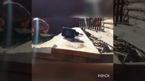 Как кромить необрезную доску