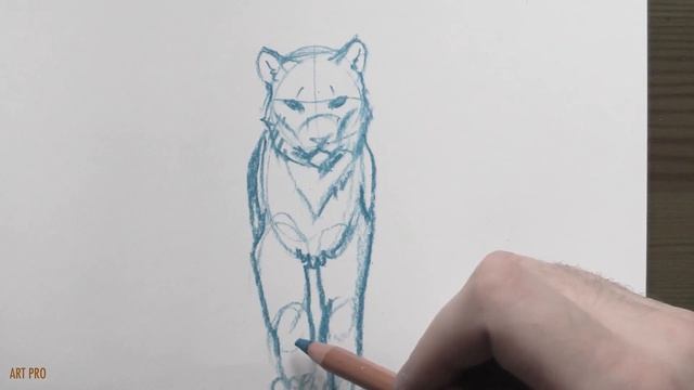 How to draw ANIMAL Heads ? [METHOD] смотреть онлайн