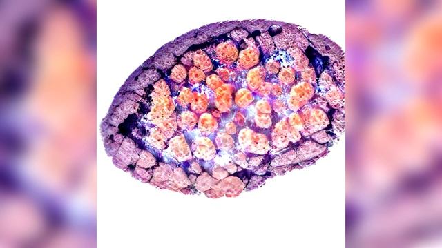 Halisca - Fairy Ring [2020] смотреть онлайн