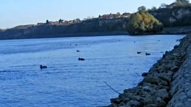 ILIJA GELO-DUNAVE DUNAVE смотреть онлайн